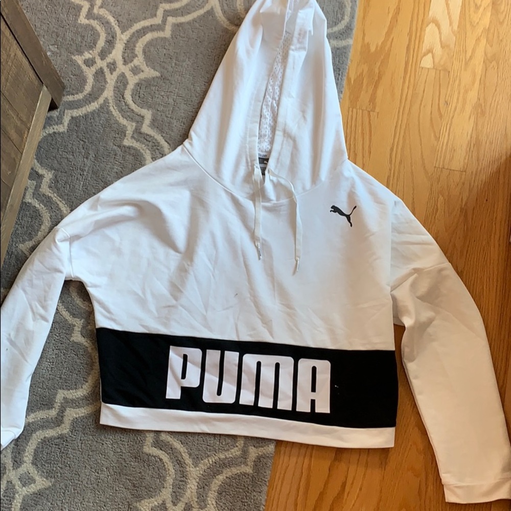 puma